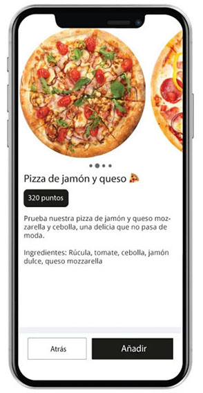 Website to Android App Conversion